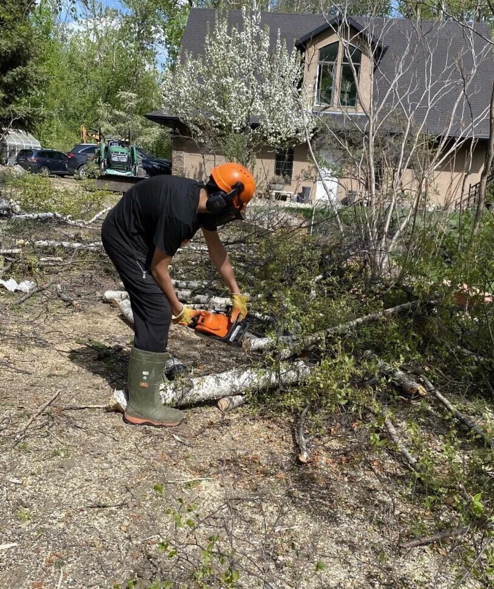 Worker cutting logs on a residential property